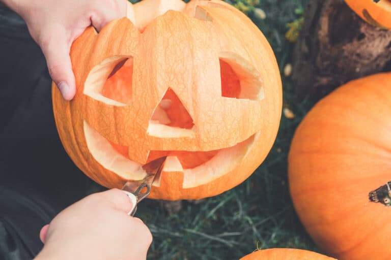 A close up of man's hand who cuts with knife a pumpkin as he prepares a jack-o-lantern. Halloween. Decoration for party.