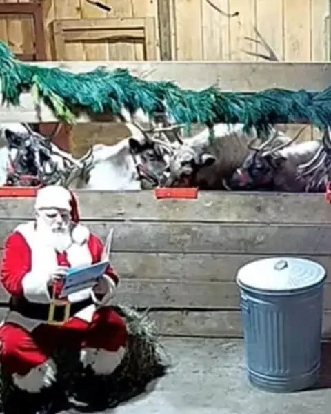 A camera picture of Santa reading a book to a stall of reindeer.