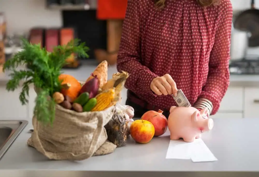 Closeup on young housewife putting money into piggy bank after shopping on local market