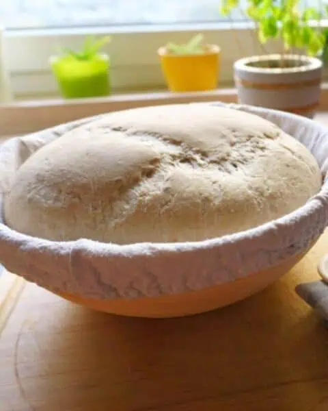 A bowl in a warm spot in the kitchen with a rise of dough.