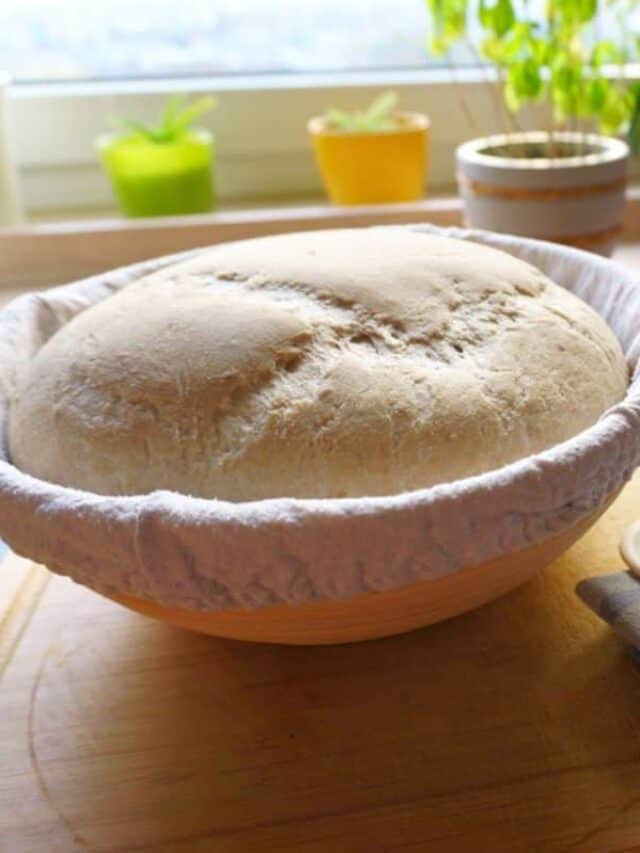 A bowl in a warm spot in the kitchen with a rise of dough.