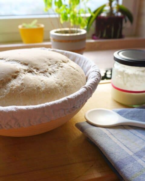 A bowl in a warm spot in the kitchen with a rise of dough.