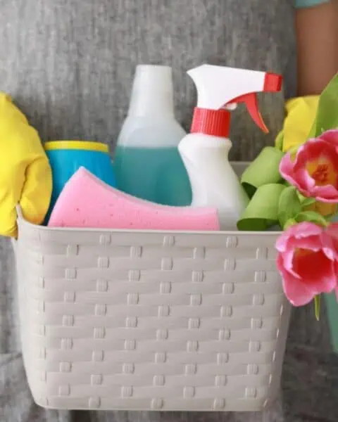 A woman holding a basket of cleaning supplies.