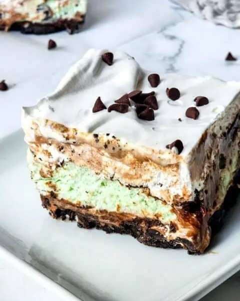 Keywords used: chocolate mint ice cream cake

Description: A homemade slice of chocolate mint ice cream cake on a white plate.