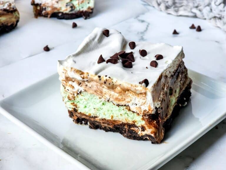 Keywords used: chocolate mint ice cream cake

Description: A homemade slice of chocolate mint ice cream cake on a white plate.