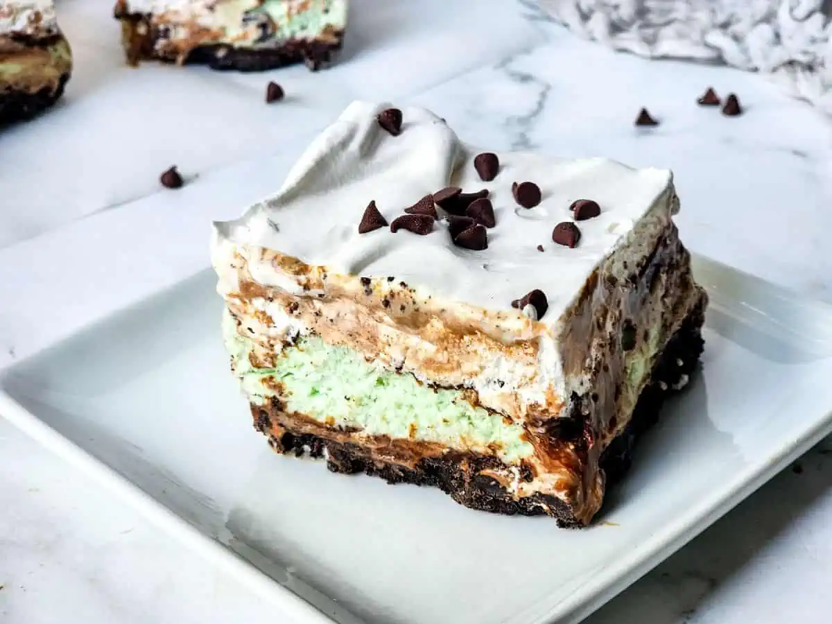 Mint Chocolate Chip Ice Cream Cake Recipe