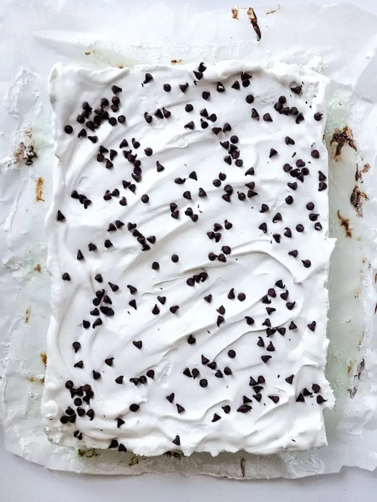 A square of white cake with chocolate chips, mint, and ice cream on top.