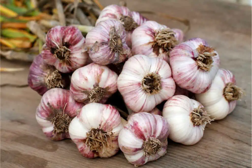 Tips for preserving garlic long term by storing it on a wooden table.