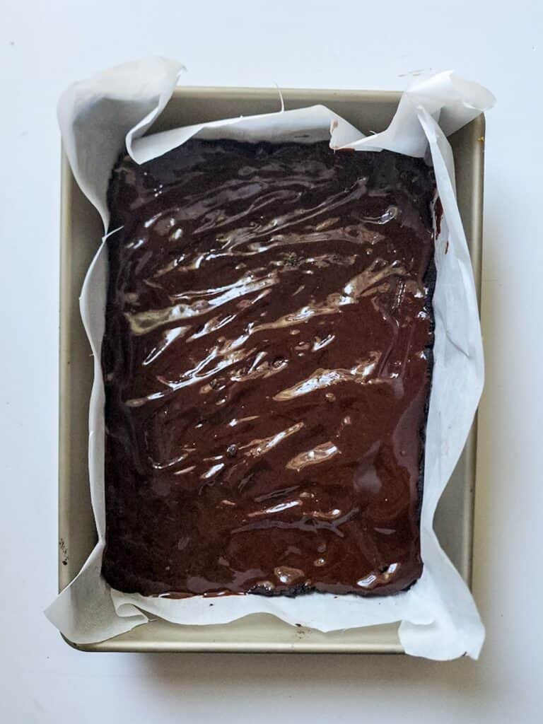 A mint chocolate chip ice cream cake sitting on a white surface.