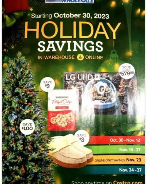 A flyer for the Costco Black Friday Sales, featuring incredible holiday savings.