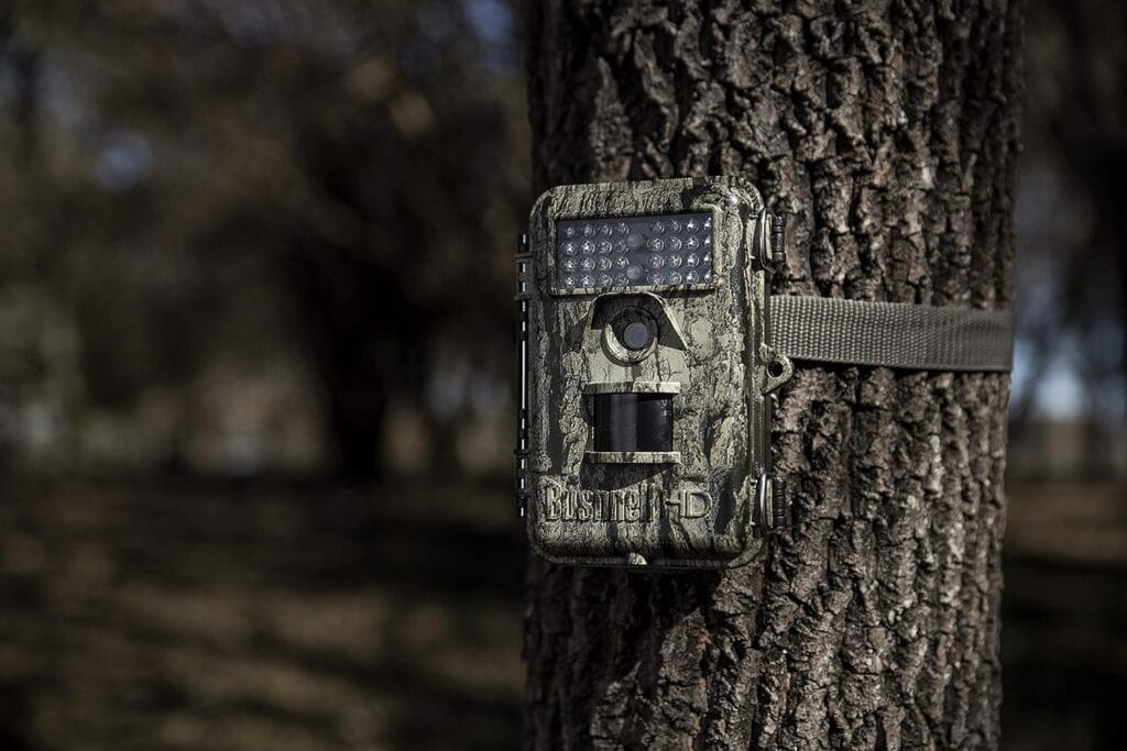 A camouflage trail camera is attached to a tree for November 24th Deals.