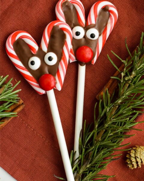 Two candy cane reindeer lollipops with pine needles.