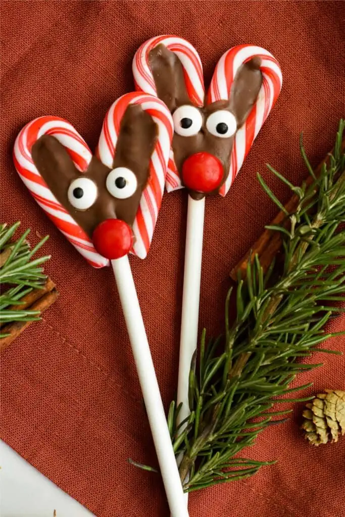 Two candy cane reindeer lollipops with pine needles.