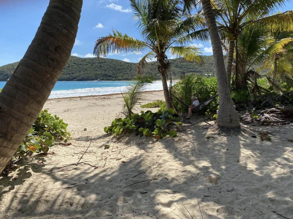 A person escapes the ordinary life, sitting under palm trees on a sandy beach. With an update to their usual routine, they relish the view of the ocean and distant hills beneath a clear blue sky.
