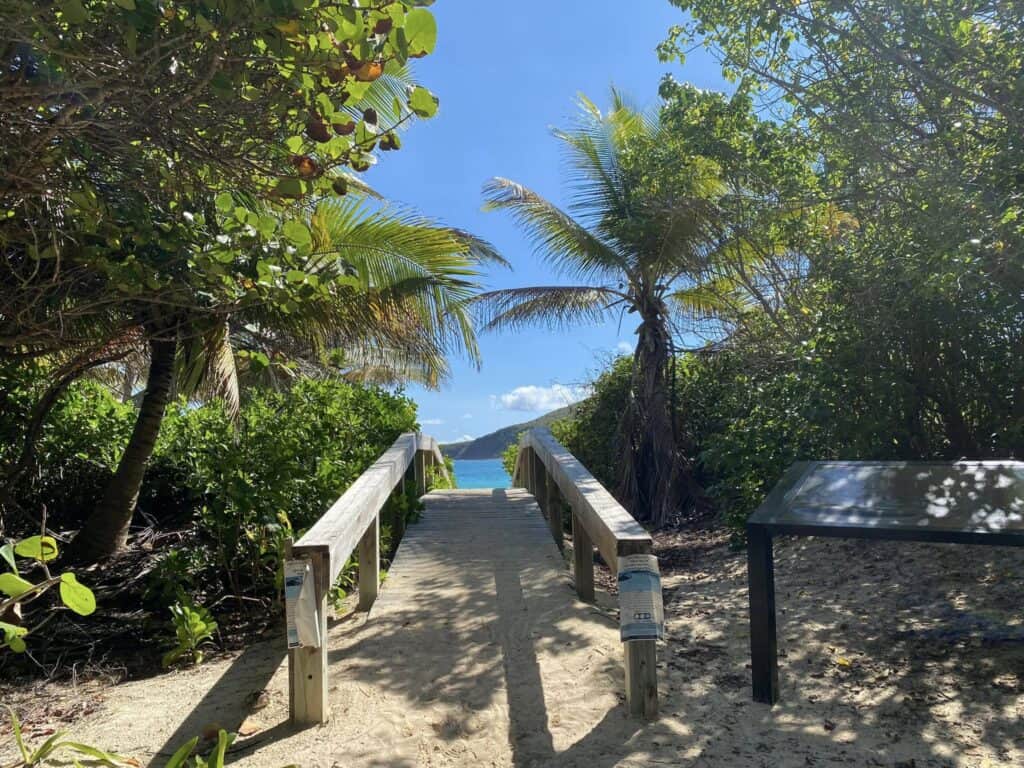 A sandy path with a wooden footbridge winds through lush greenery, leading to a sunny beach where palm trees sway under the bright sunshine, offering an idyllic escape from the boring ordinary life.