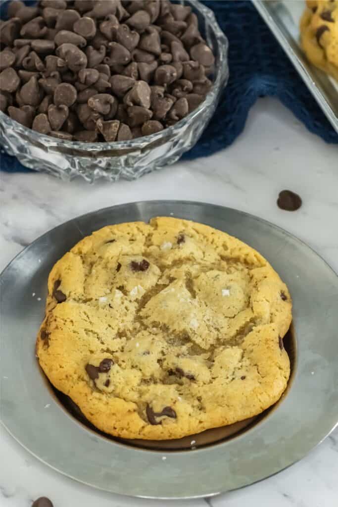 A large chocolate chip cookie rests on a plate, showcasing its mouthwatering goodness, with a bowl of extra chocolate chips hinting at the rich recipe that crafted this treat.