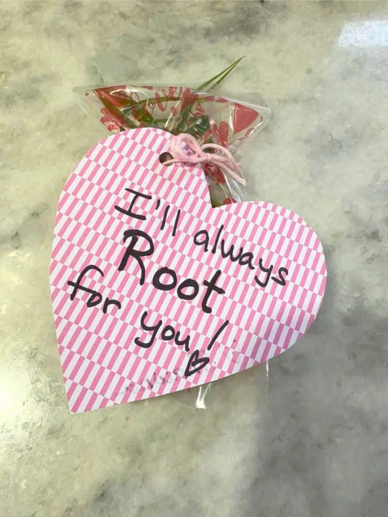 Heart-shaped note with "I'll always Root for you!" written on it, attached to a small bouquet with a pink string.