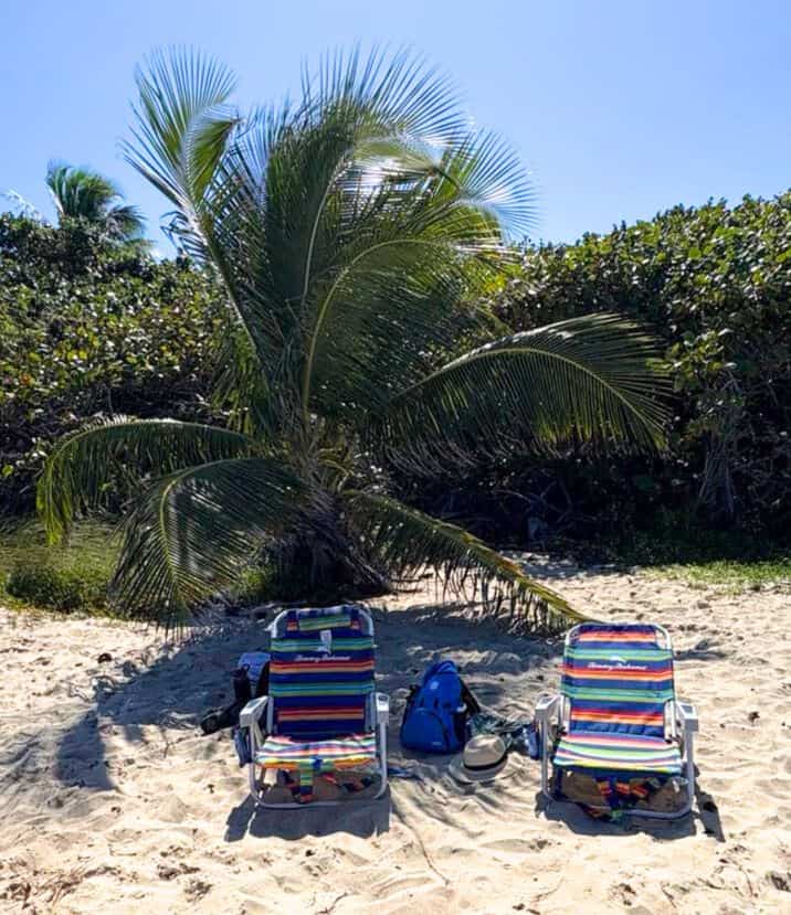 Two striped beach chairs and a backpack on sand under a small palm tree, with dense foliage in the background.