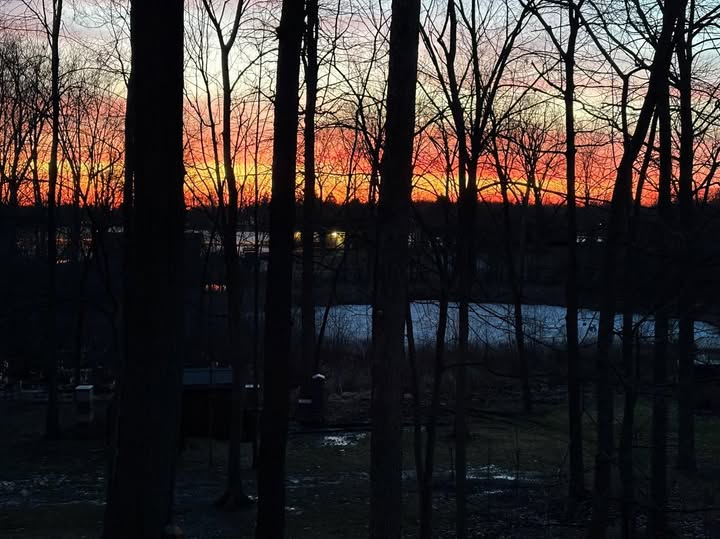 A serene sunset unfolds through bare trees, painting the sky in orange and pink hues that reflect vividly on the water's surface—a personal glimpse of nature's canvas.