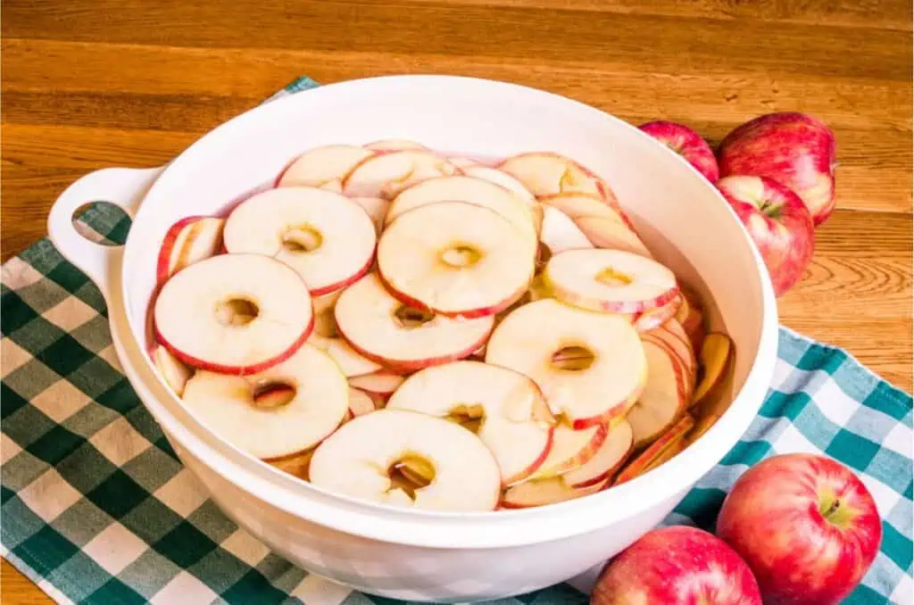 A white bowl filled with water and apple slices rests on a green and white checkered cloth, surrounded by whole apples on a wooden surface—a perfect scene for those looking to get started with dehydrating food.