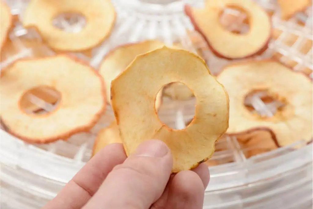 Hand holding a round slice of dried apple with a hole in the center, against a backdrop of several similar slices on a drying rack. Discover how to get started with dehydrating food and savor the natural taste of homemade dried fruits.