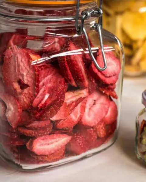 Glass jars filled with dried strawberry slices, a mix of dried fruits, and larger pieces of dried mango are displayed on a countertop, offering inspiration for those eager to get started with dehydrating food at home.