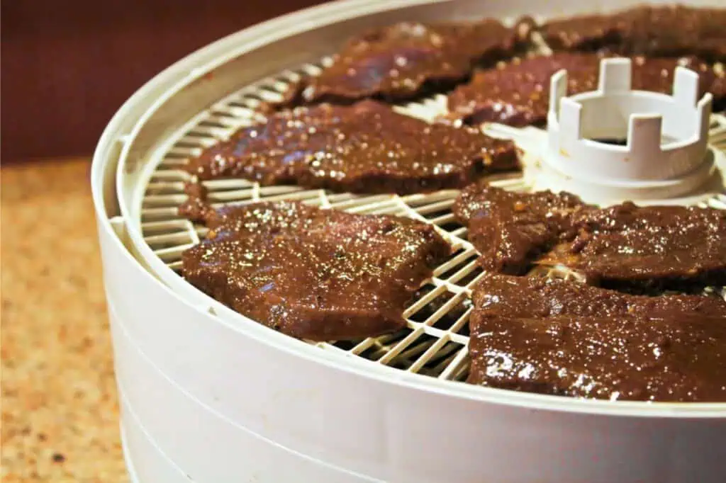 Close-up of raw marinated meat slices arranged on a white food dehydrator tray, set for dehydration, showcasing how to dehydrate on your kitchen countertop.