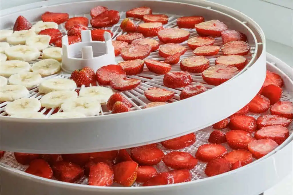Two layers of a food dehydrator are filled with sliced strawberries and bananas, ready for drying. It’s the perfect way to get started dehydrating and embrace the art of food preservation.
