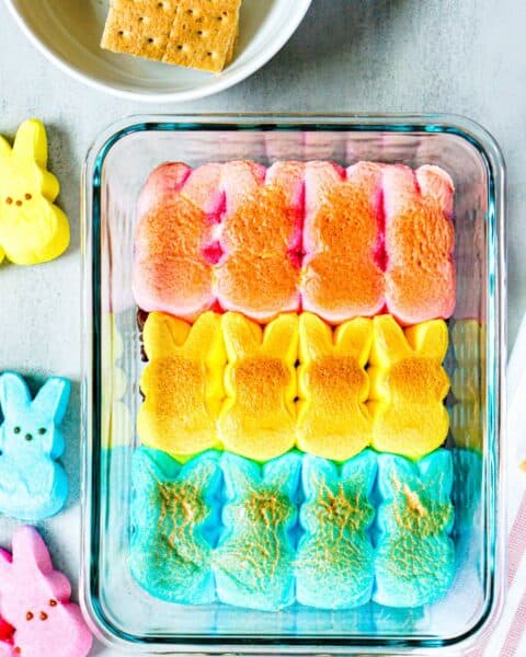 Colorful marshmallow Peeps bunnies in pink, yellow, and blue are arranged in a rectangular dish for a festive S'mores Dip. Graham crackers and extra marshmallows sit beside it on a gray surface, ready for dipping.