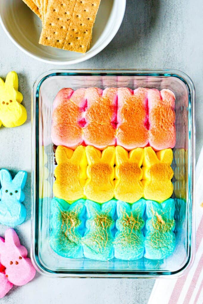 Colorful marshmallow Peeps bunnies in pink, yellow, and blue are arranged in a rectangular dish for a festive S'mores Dip. Graham crackers and extra marshmallows sit beside it on a gray surface, ready for dipping.