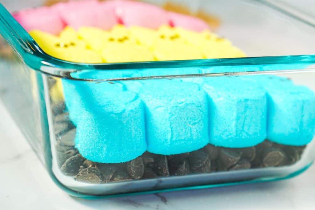 Blue, pink, and yellow Peeps marshmallow chicks are nestled in a glass container on a layer of chocolate chips, ready to delight as the perfect Easter Bunny treat.