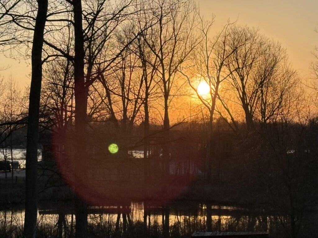 Sunset view through bare trees reflects on a small pond, with sunshine casting a warm orange and yellow glow across the sky, touching the heart with its beauty.