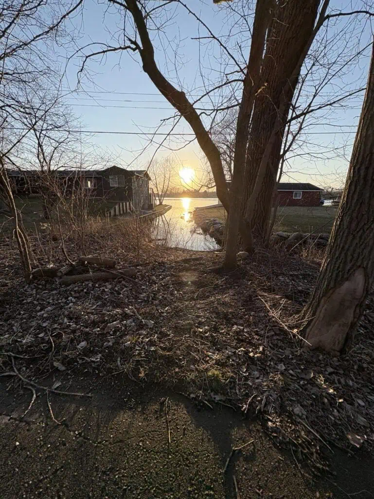 The sun is setting over a small waterway framed by trees and two houses, casting a golden glow on the leafless branches and lightly leaf-covered ground. The scene, touched by the gentle embrace of sunshine, captures nature's serene heart.