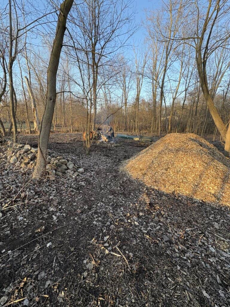 A wooded area with bare trees and a pile of wood chips, scattered rocks, and a tarp-covered structure. Sunshine streams through the clear blue sky onto the leaf-blanketed ground mixed with dirt and wood chips, adding warmth to this serene setting.