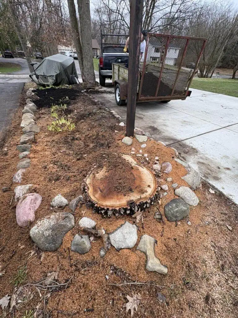 In my lifestyle blog, I share personal stories like finding beauty in a simple tree stump surrounded by rocks and wood chips in our garden bed, just steps away from the trailer parked on our driveway.