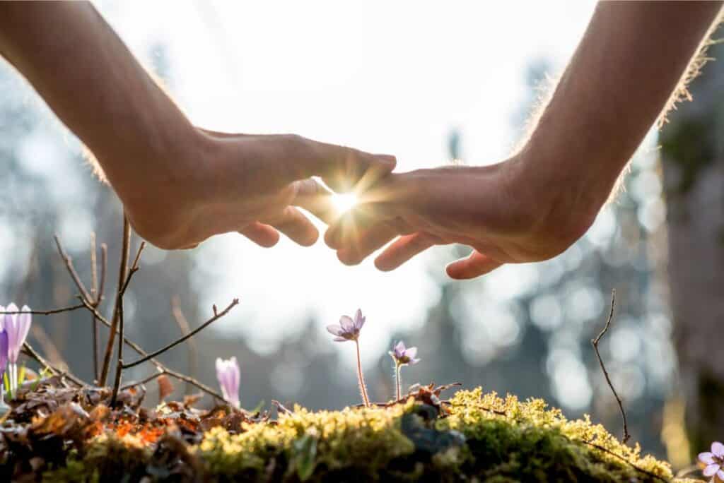 Two hands form a heart as sunshine filters through, casting a warm glow over the mossy ground adorned with small purple flowers.