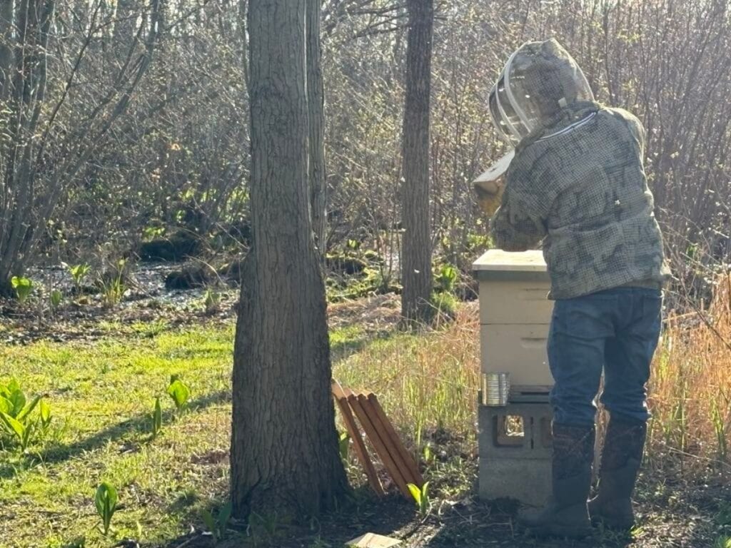 A person wearing a beekeeping suit tends to a beehive in a wooded area, sunlight from the Sweet Spring Update filtering through the trees.