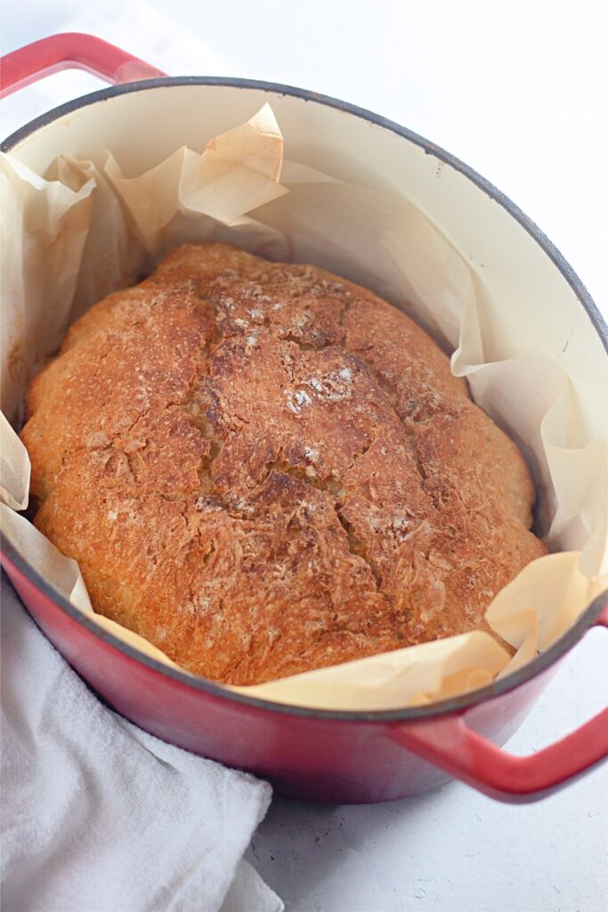 A round loaf of crusty dutch oven bread sits on parchment paper inside a red Dutch oven.