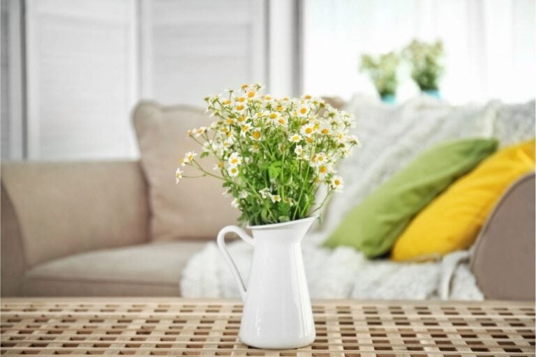 A white pitcher filled with chamomile flowers sits on a wooden table in front of a beige couch with green and yellow pillows, creating a calm space ideal for reflecting on essential life skills.