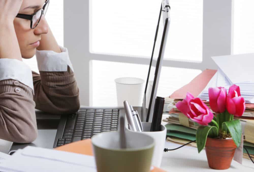 A person sits at a desk with a laptop, holding their head in their hands, surrounded by paperwork, office supplies, and a potted pink flower—perhaps a small reminder of their family gardening legacy.
