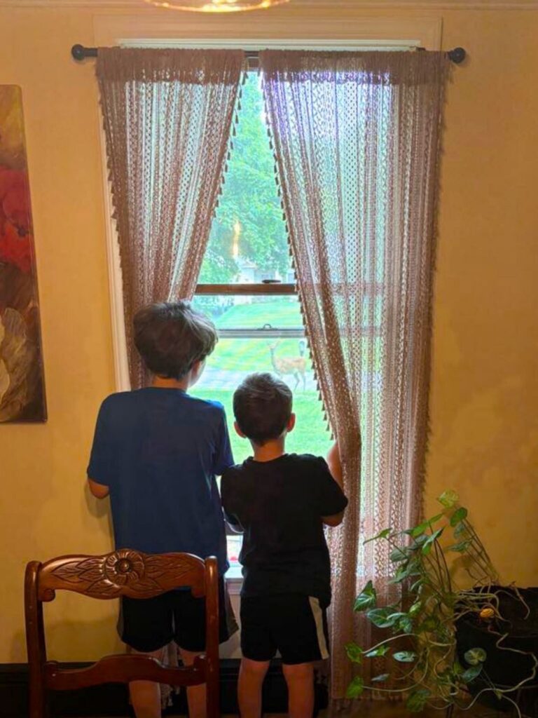 Two children stand side by side, looking out a window with sheer curtains. A wooden chair and a potted plant are in the foreground.