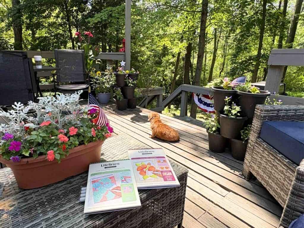 A wooden deck with potted flowers, two magazines on a table—one headline reads "Connor’s Big News"—a cat lying in the sun, patio furniture scattered in mild chaos, and trees in the background.