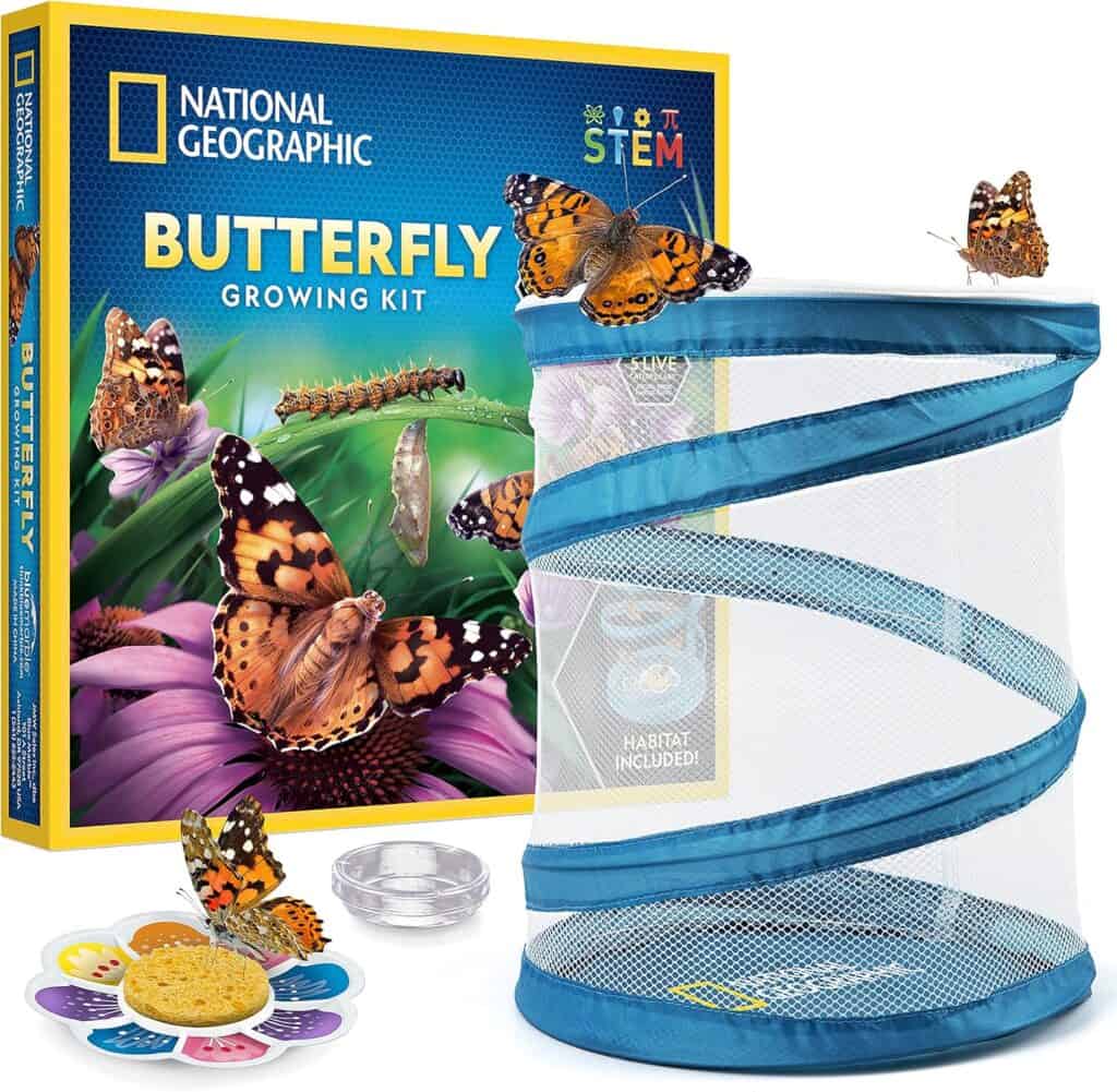 National Geographic Butterfly Growing Kit with a mesh habitat, butterflies, food tray, and packaging shown in the background—now available with Free Shipping from Woot.