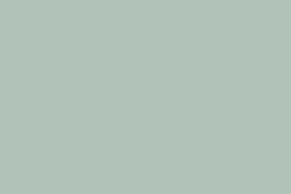 The entire image is filled with a solid light mint green color, creating a smooth background.