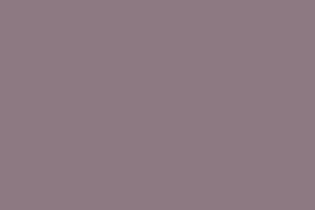 A smooth, uniform background in light purple or lavender with no other visible details.